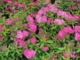 59914b24-a341-11eb-93b3-005056c00008-1