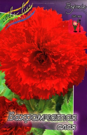 6927d661-373f-11eb-b90a-005056c00008-1