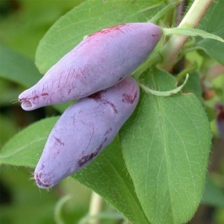 d06f9026-06d0-11ef-890b-246e9611e8f5-1