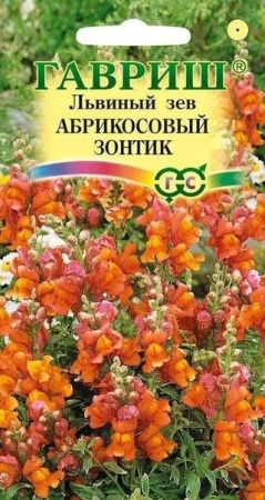 9d8dbef5-c615-11de-87ad-0019dbe91ea3-1