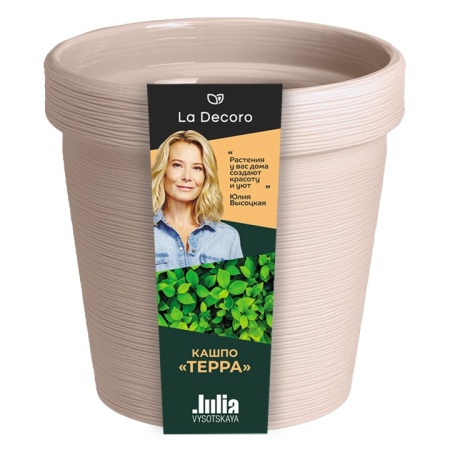 577fcb5c-dafd-11ef-8915-246e9611e8f5-1