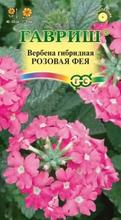a159b324-e82b-11ea-86cc-005056c00008-1