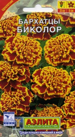 6a97b4d0-dcea-11dd-9138-00500454e615-2