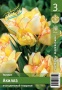 d35c5edd-5b7a-11ef-8910-246e9611e8f6-1