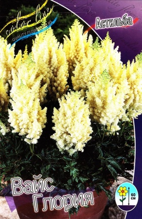 016beb78-3e12-11df-884b-0019dbe91ea3-1