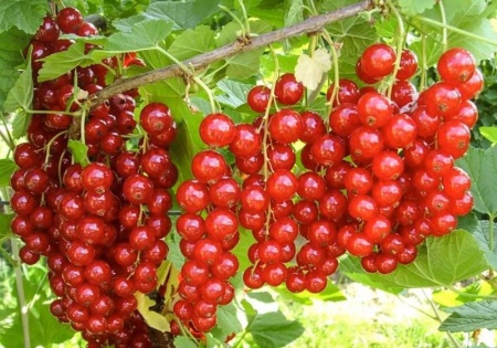 bd851988-1b7f-11f0-8918-246e9611e8f6-1