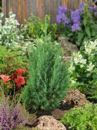 eddc72fb-cf9c-11e4-9bdf-001e673ebdea-1