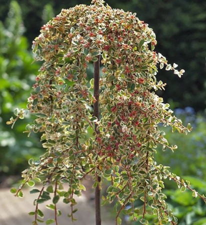 1a3f8969-d1be-11f0-891e-246e9611e8f6-1