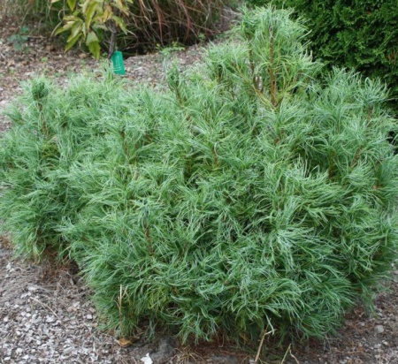 0210e574-c361-11ef-8915-246e9611e8f5-1