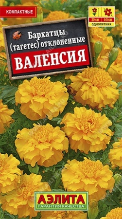 57bc56ab-f800-11ea-b984-005056c00008-2