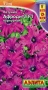 df58622c-f80b-11ea-b984-005056c00008-3