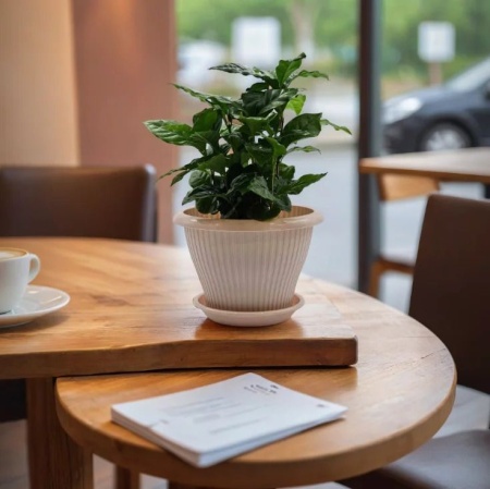 4809f3f4-574c-11ed-aea3-001e673ebdea-1