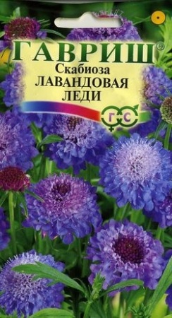 21433dc3-c797-11de-87ae-0019dbe91ea3-2