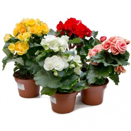 5fc7a501-c581-11ee-8908-246e9611e8f5-1