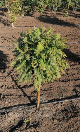 4cfadf63-3254-11f1-8926-246e9611e8f6-1