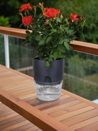 3902edc3-d9ce-11f0-891e-246e9611e8f6-1