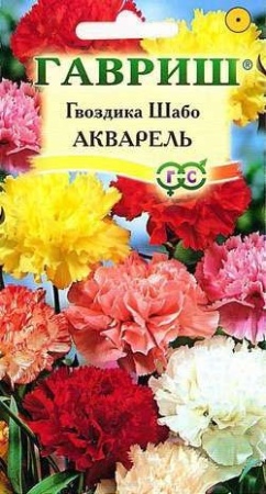 70f41ae7-dcea-11dd-9138-00500454e615-1