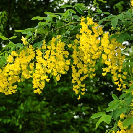 a94c9617-347e-11f0-8918-246e9611e8f6-1