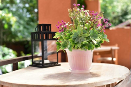 050068d4-6831-11ee-ae0a-001e673ebdea-1