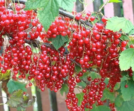 9ffc1e9a-1b7f-11f0-8918-246e9611e8f6-1