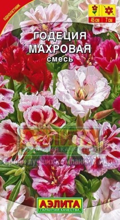 baa6dab3-47cf-11e1-82d8-00500454e615-2