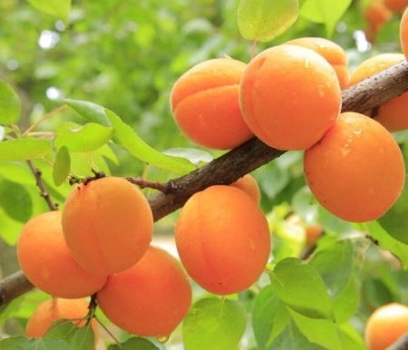 2d3373db-f130-11f0-8920-246e9611e8f7-1