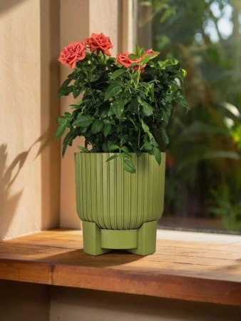 d5b85da1-da4c-11f0-891e-246e9611e8f6-1