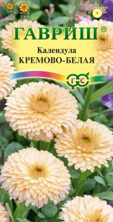 7757a89d-dcea-11dd-9138-00500454e615-1
