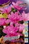 e021fb44-e6d6-11e1-a441-00500454e615-1