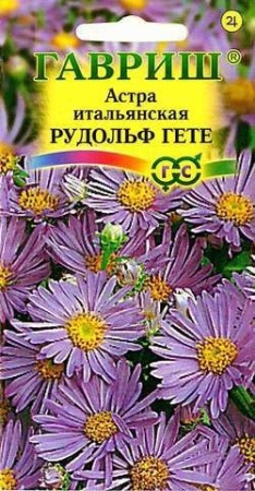 6463d842-dcea-11dd-9138-00500454e615-2