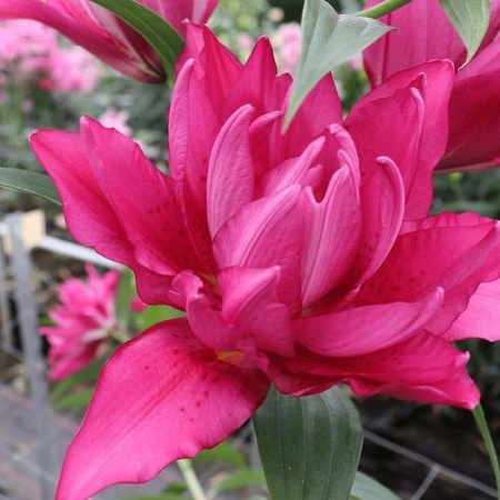 06d00517-7132-11ec-8bcd-005056c00008-1