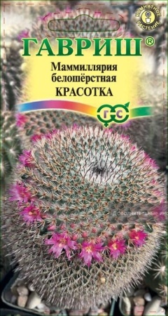 65978a8f-ce8c-11eb-8e2c-005056c00008-1