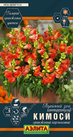 c2a38f97-0b3a-11ec-a8a4-005056c00008-1