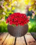 2ad0477f-da84-11f0-891e-246e9611e8f6-4