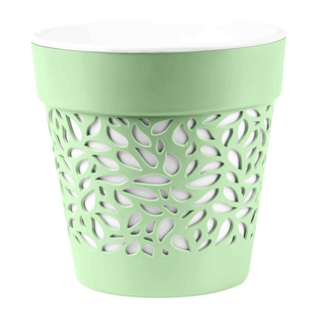 89ad590e-da2e-11ef-8915-246e9611e8f5-1