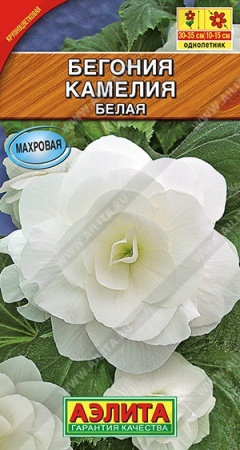 56ea0407-65e8-11e2-9b29-00500454e615-1