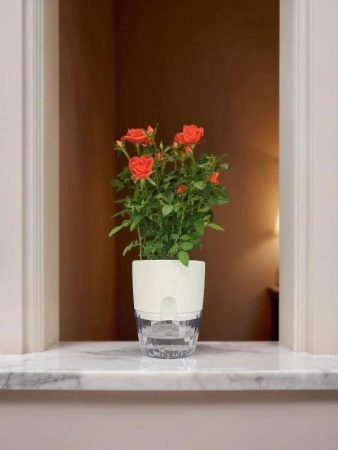 7011589b-d9d0-11f0-891e-246e9611e8f6-1