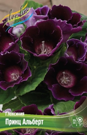 8649662e-b44a-11ee-8bd7-001e673ebdea-1