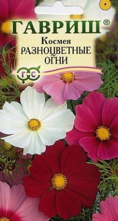 7d524d31-dcea-11dd-9138-00500454e615-2