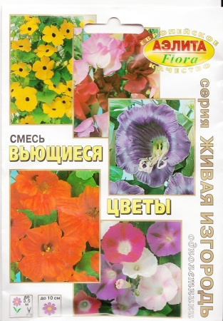 70f41a95-dcea-11dd-9138-00500454e615-2