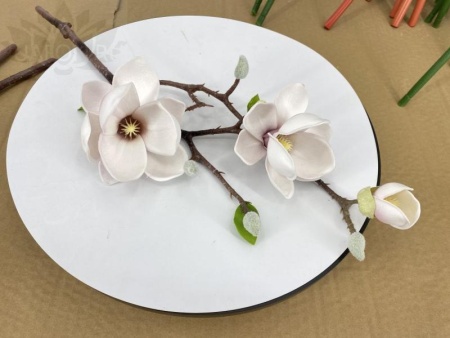 8c93ef58-5a46-11f0-891b-246e9611e8f7-1