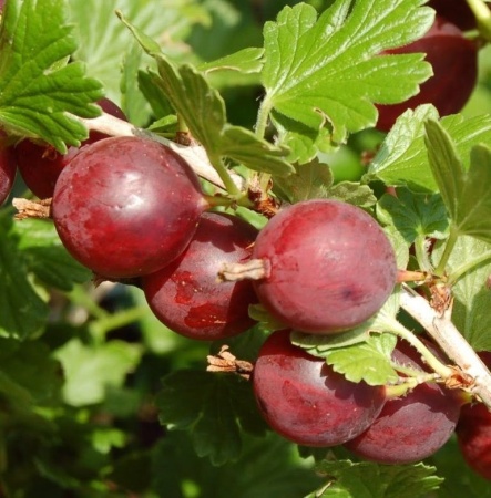 fad401b7-f067-11f0-8920-246e9611e8f7-1