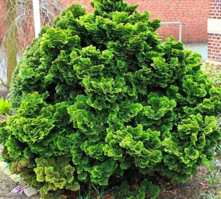 40d1d6bc-3a53-11e8-a7ea-005056c00008-1