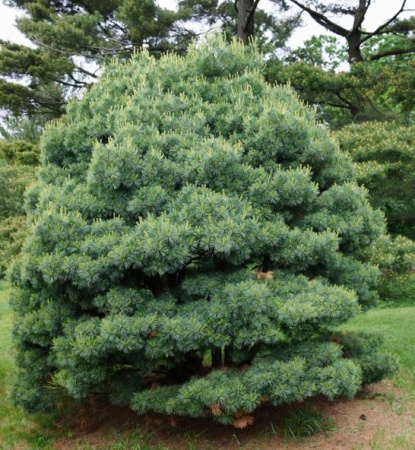 7b1e3f58-c352-11ef-8915-246e9611e8f5-1