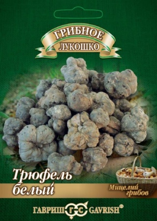 c576eb82-1e94-11e3-8fce-00500454e615-1