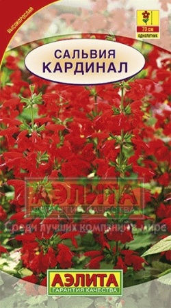 a121be86-5ba8-11e5-a7b4-001e673ebdea-2