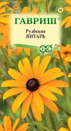 9b4cfedd-dcea-11dd-9138-00500454e615-1