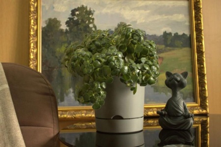 39bbc123-da60-11f0-891e-246e9611e8f6-1