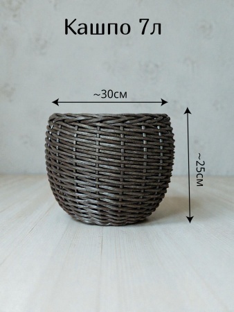 b1c5295f-d664-11f0-891e-246e9611e8f6-3