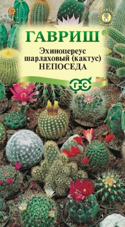 7757a873-dcea-11dd-9138-00500454e615-1